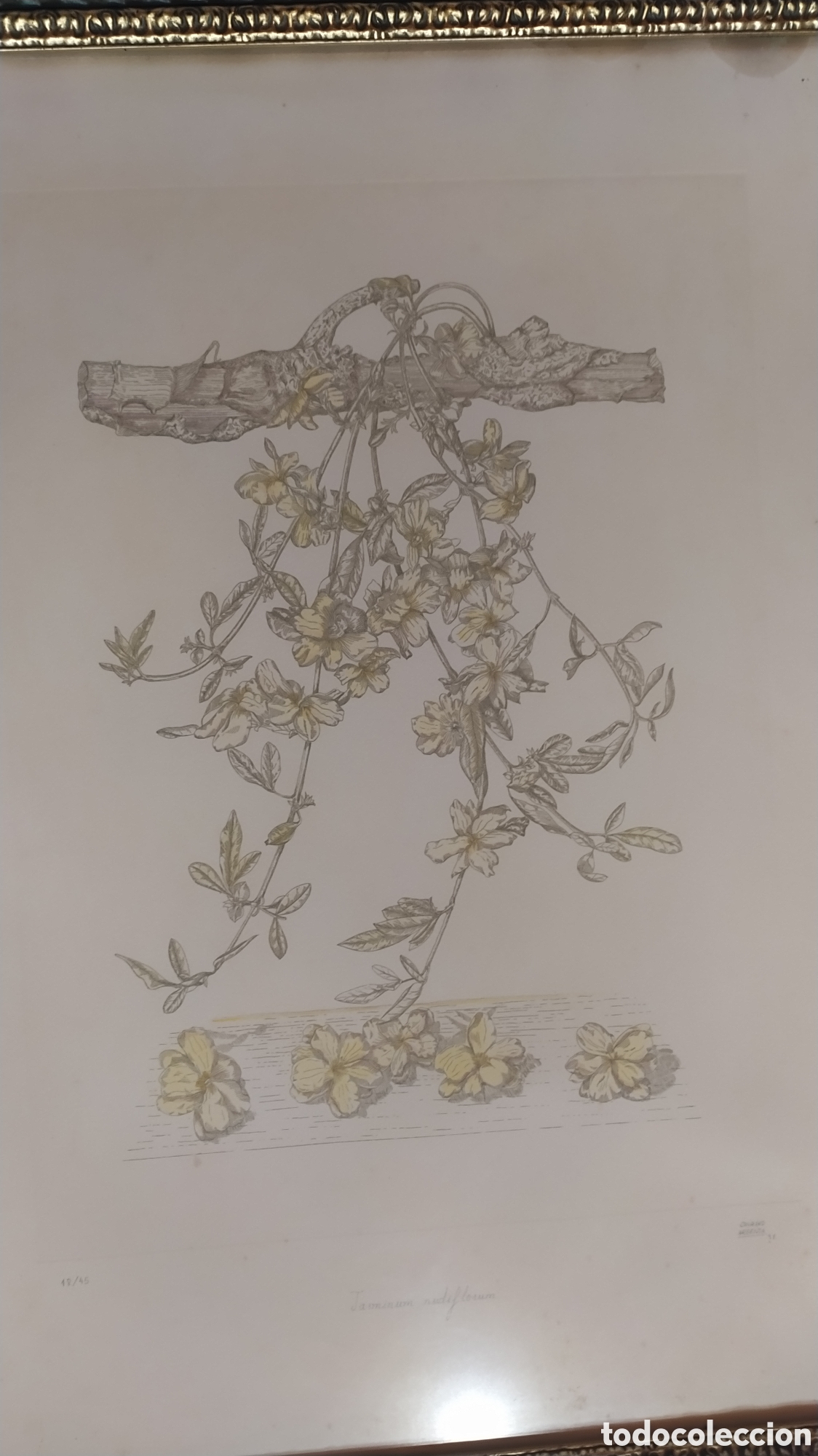Arte: Grabado Marta Chirino. - Foto 16