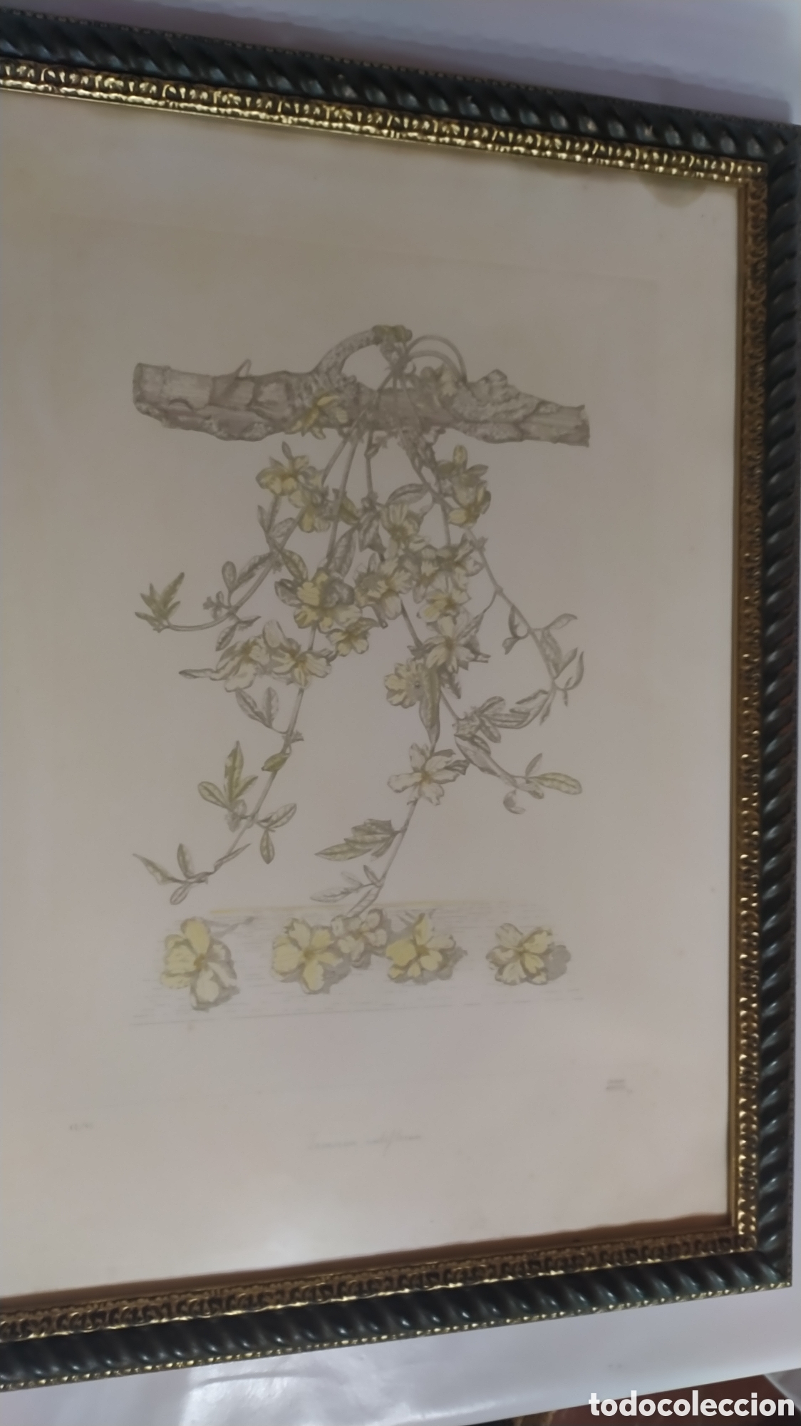 Arte: Grabado Marta Chirino. - Foto 1