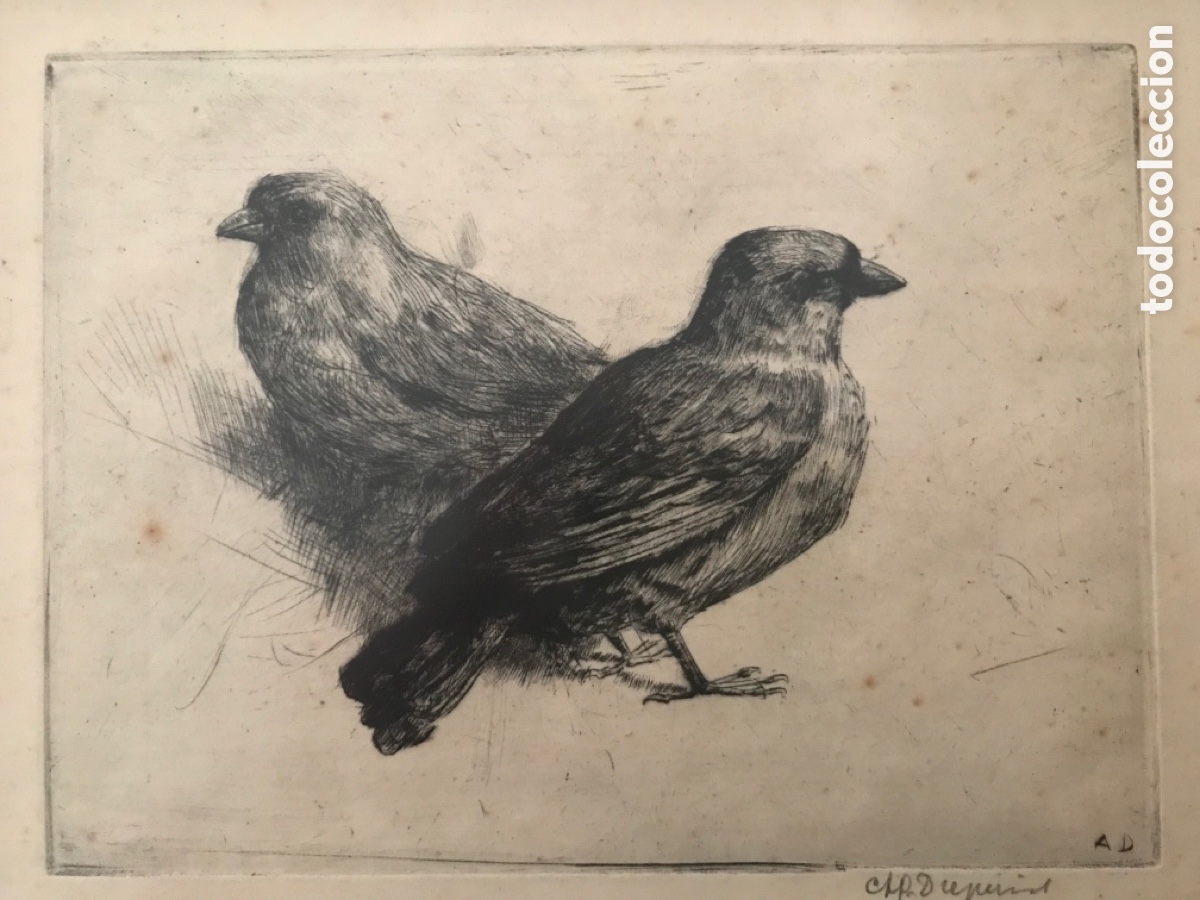Arte: Antiguo grabado - Foto 3