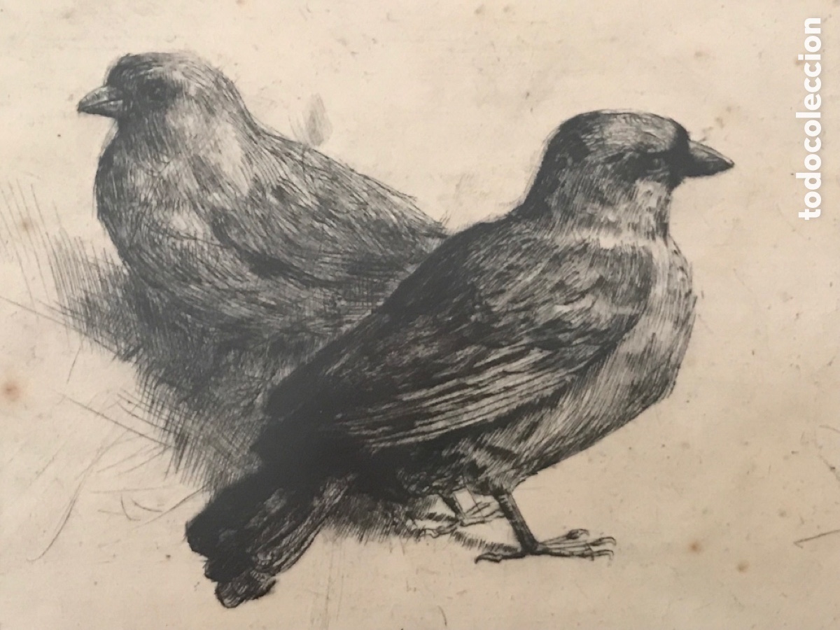 Arte: Antiguo grabado - Foto 4