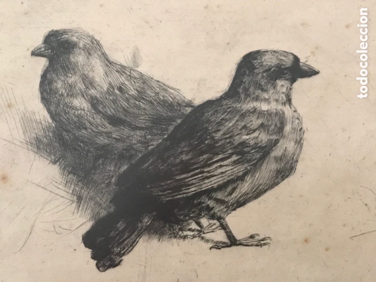 Arte: Antiguo grabado - Foto 5