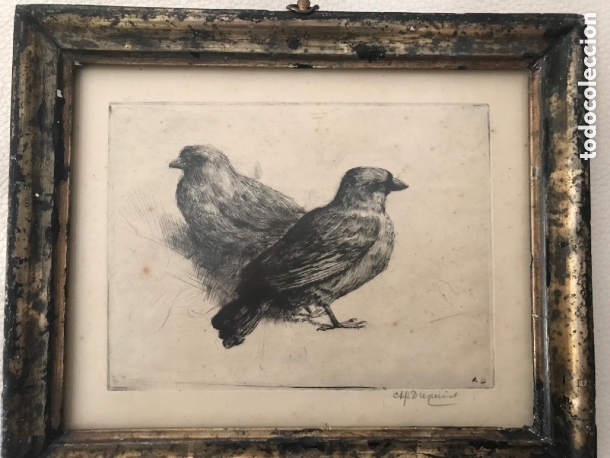 Arte: Antiguo grabado - Foto 6