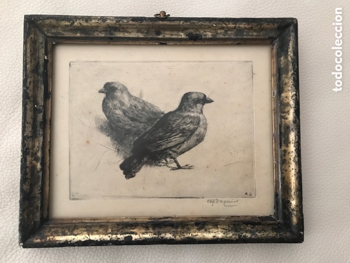 Arte: Antiguo grabado - Foto 9