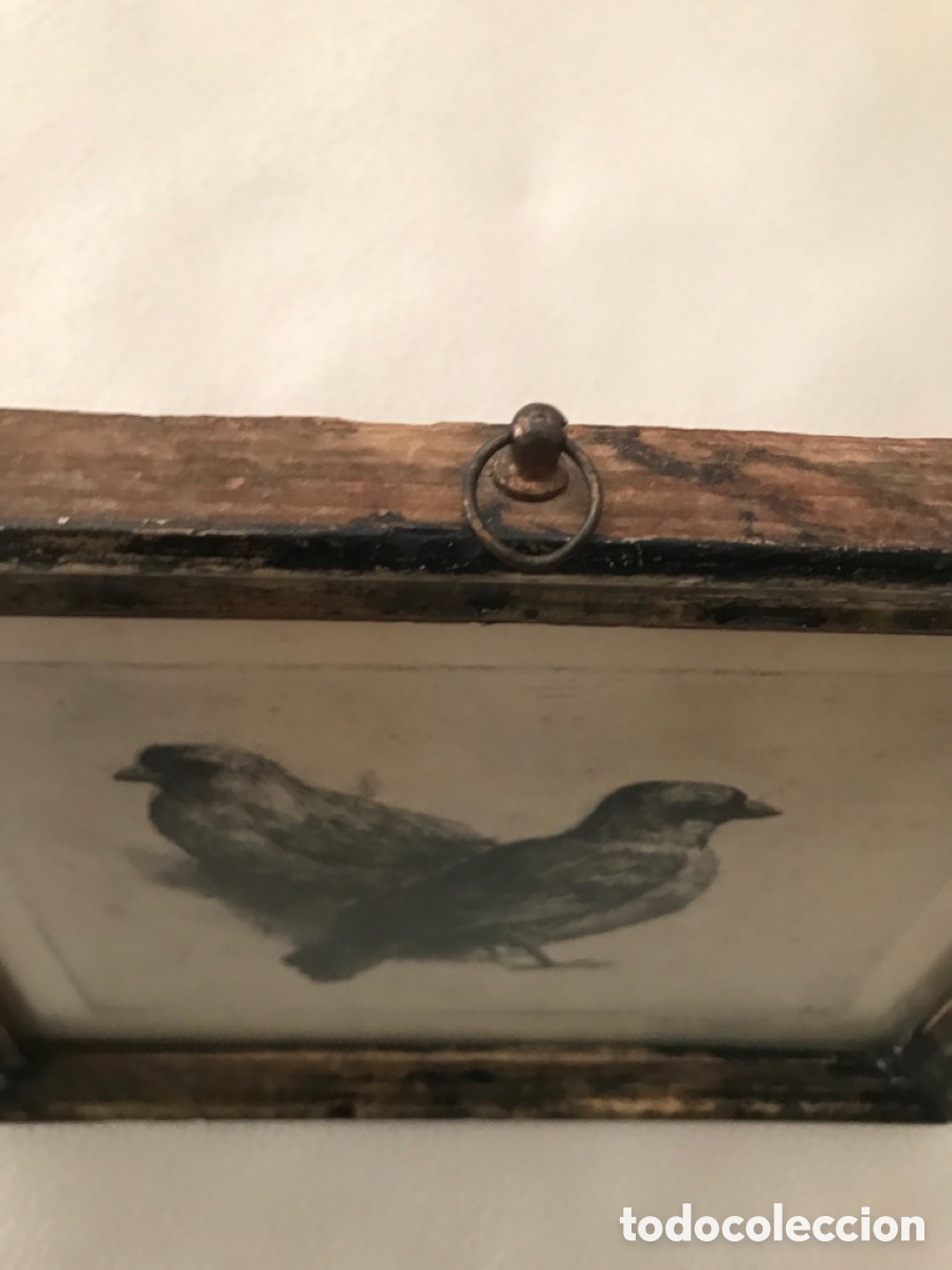 Arte: Antiguo grabado - Foto 11