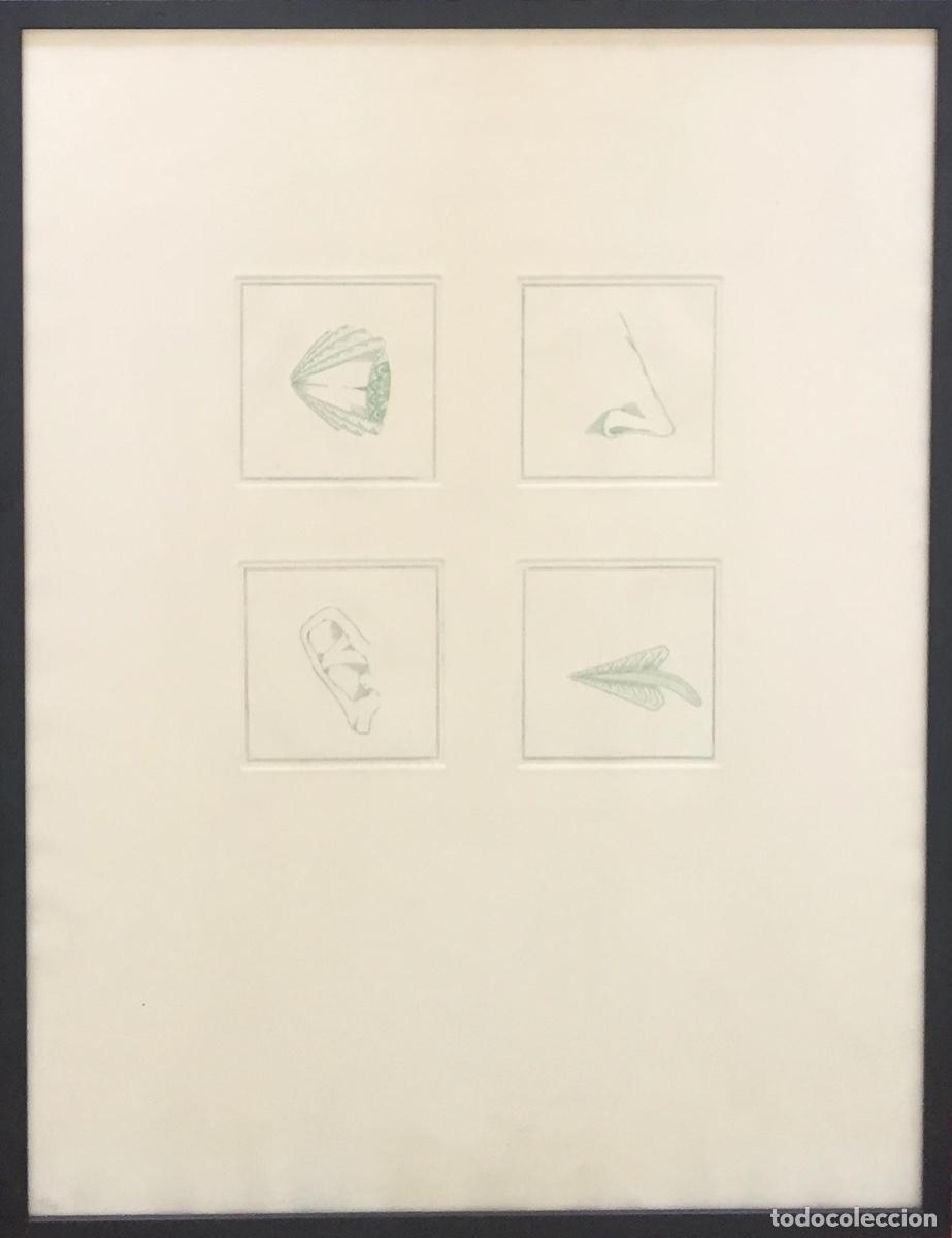 Arte: Joan Pon&ccedil; - Foto 1