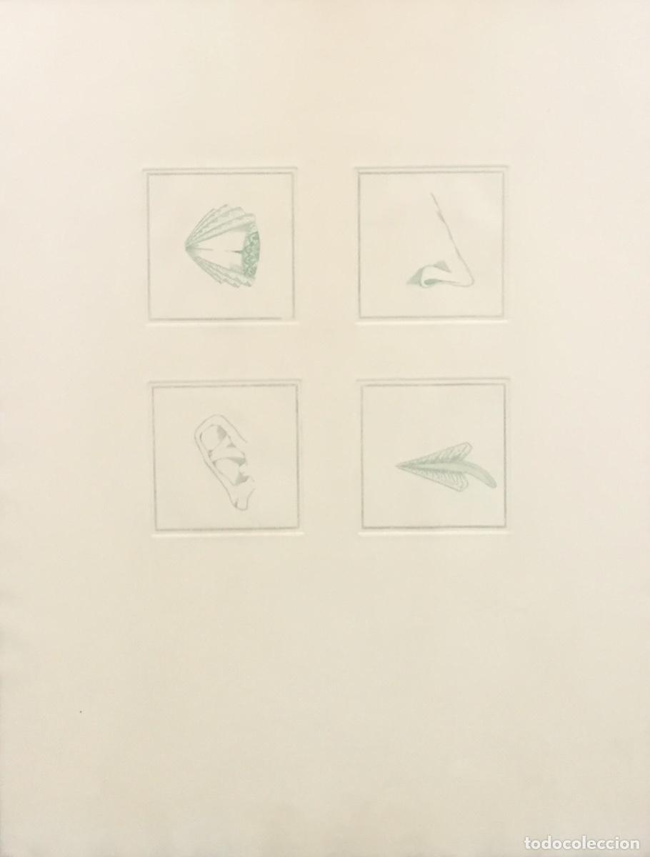 Arte: Joan Pon&ccedil; - Foto 2