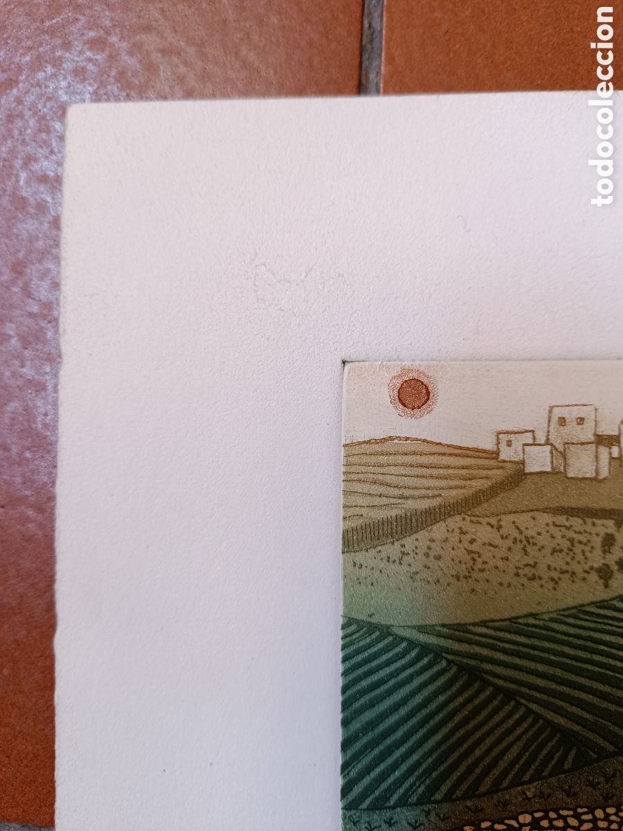 Arte: Perdices por Francisco &Aacute;lvarez - Foto 6
