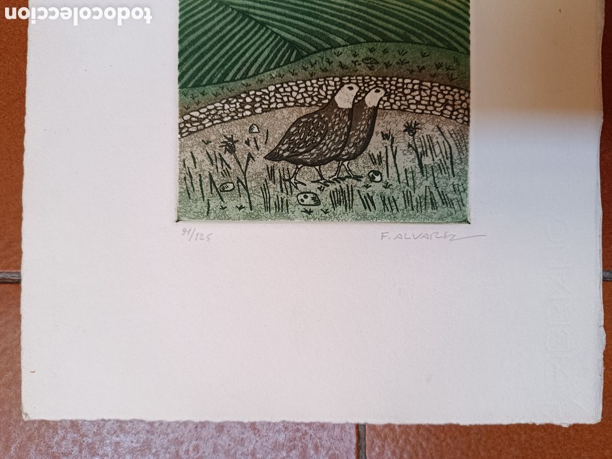 Arte: Perdices por Francisco &Aacute;lvarez - Foto 10