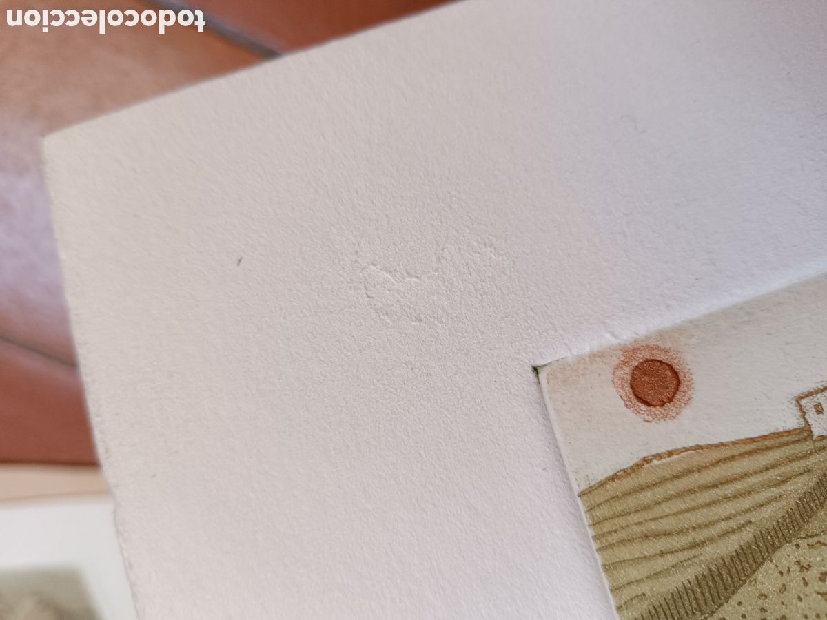 Arte: Perdices por Francisco &Aacute;lvarez - Foto 12