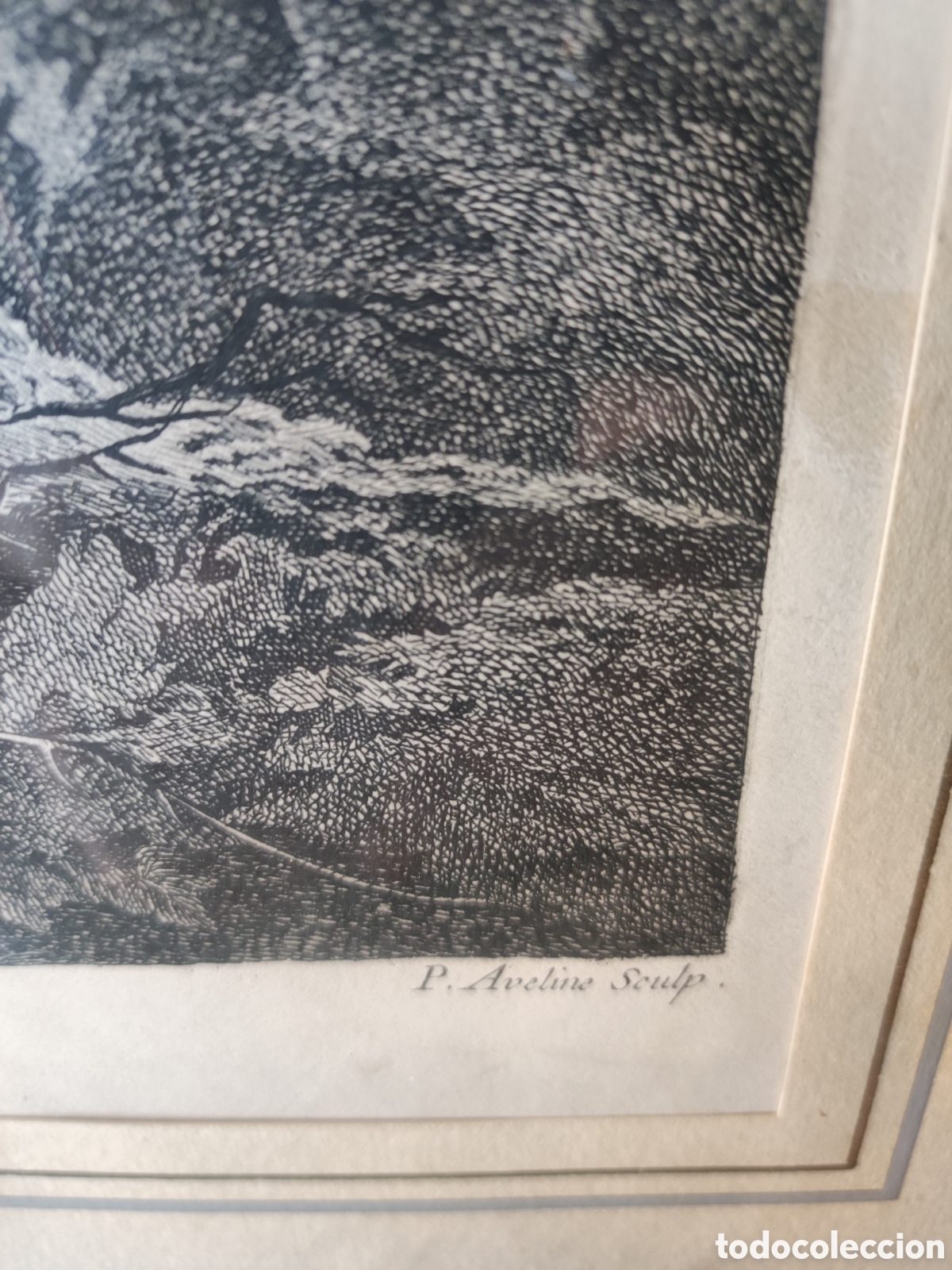 Arte: Grabado antiguo enmarcado - Foto 7
