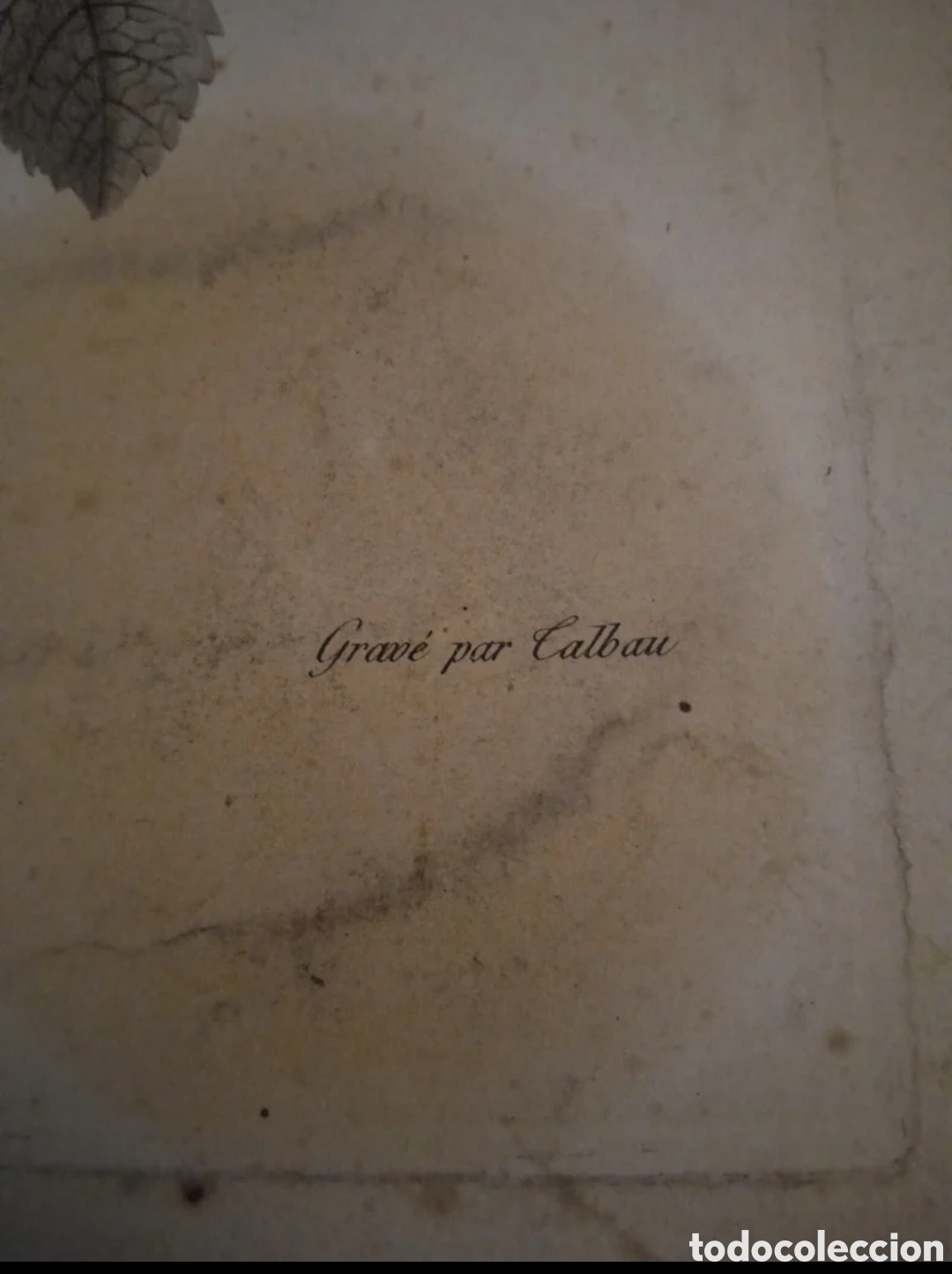 Arte: Antiguo grabado de finales del xix - Foto 2