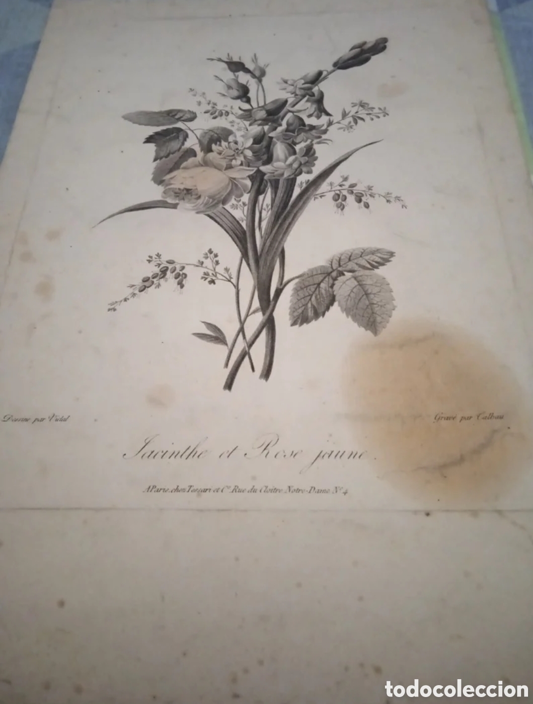 Arte: Antiguo grabado de finales del xix - Foto 3