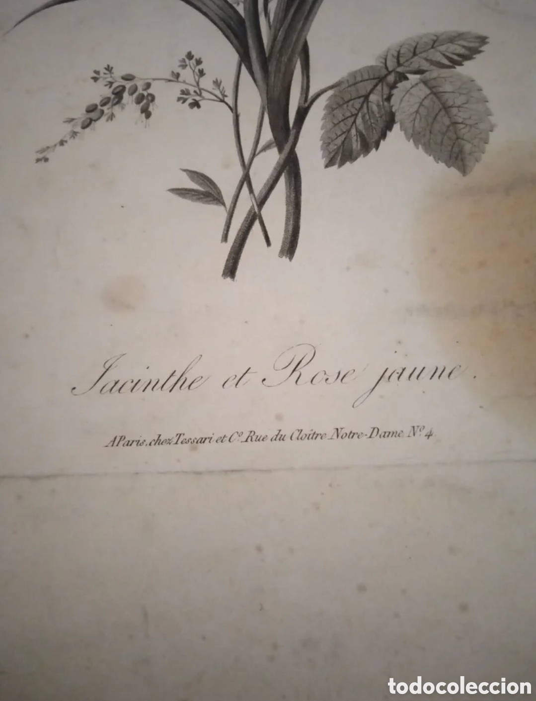 Arte: Antiguo grabado de finales del xix - Foto 4