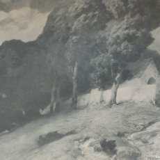 Arte: LAMINA GRABADO? - FERDINAND KELLER 1903 - AUF STILLER HÖME - BERLINER VERLAG