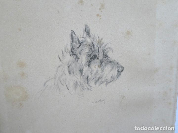 Arte: Grabado de Lucy Dawson - Foto 7