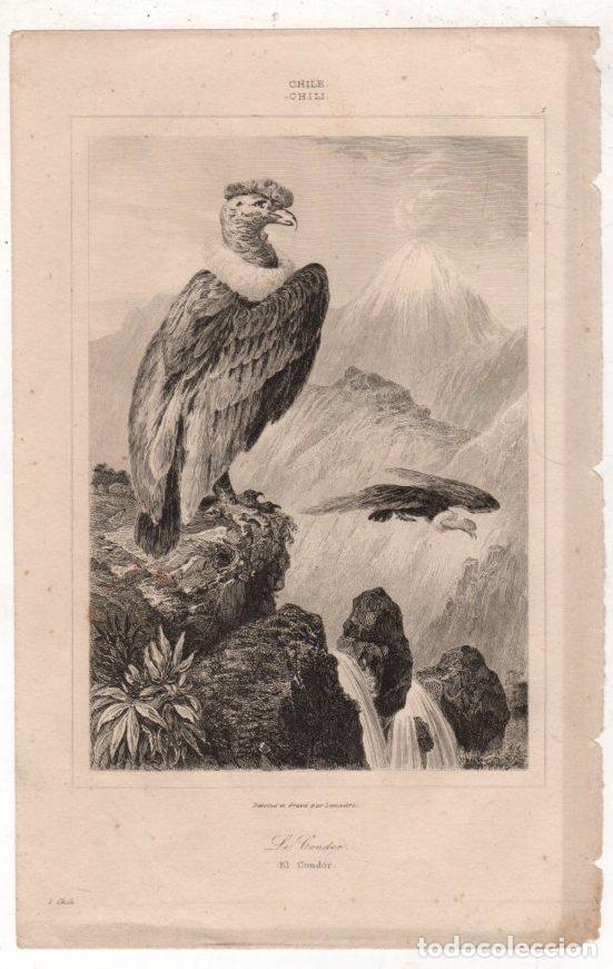 Arte: GRABADO EL CONDOR. CHILE. LEMAITRE. 1840 - Foto 1