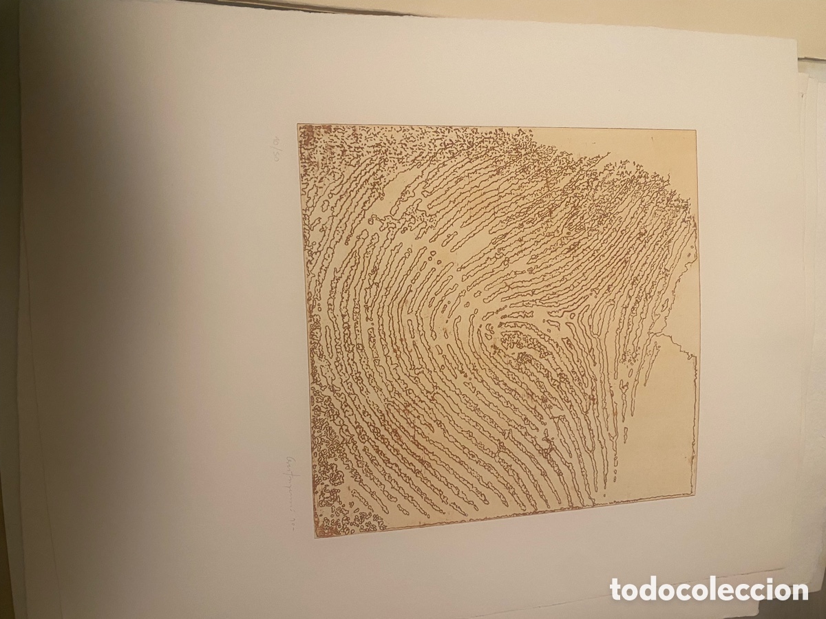 Arte: Colecci&oacute;n de Grabados - Foto 7