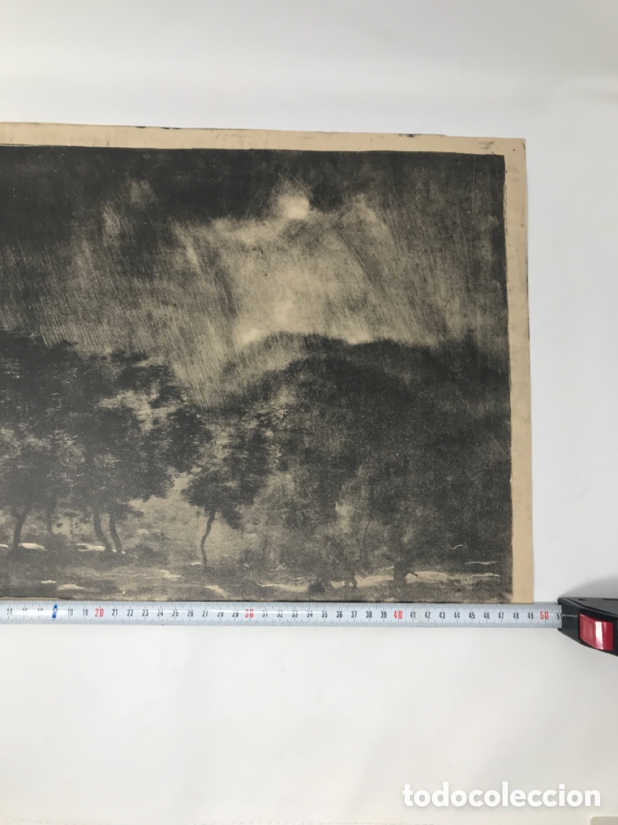 Arte: Grabado t&eacute;cnica monotipo. - Foto 6