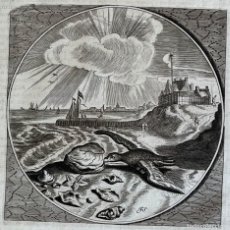 Arte: EMBLEMA BARROCO: GAVIOTA Y BIVALVO, HACIA 1650. JACOB CATS