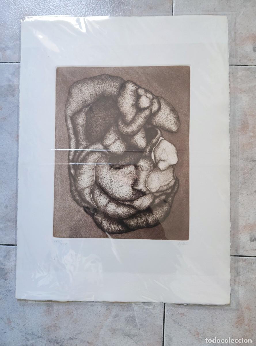 Arte: Manuel Ayll&oacute;n - Grabado - Foto 1