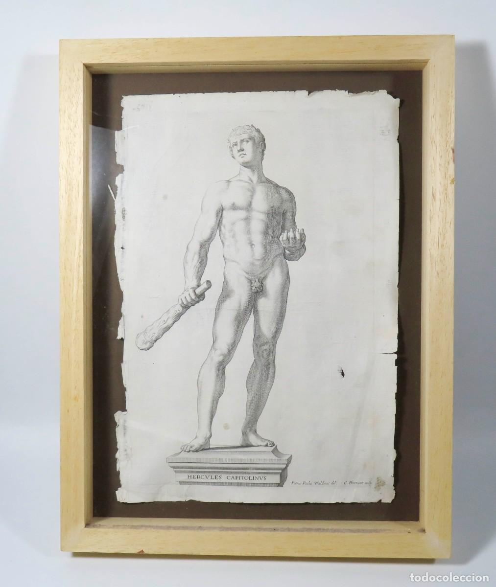 Arte: Grabado H&eacute;rcules Blomaert after Vbaldinus1646 - Foto 1