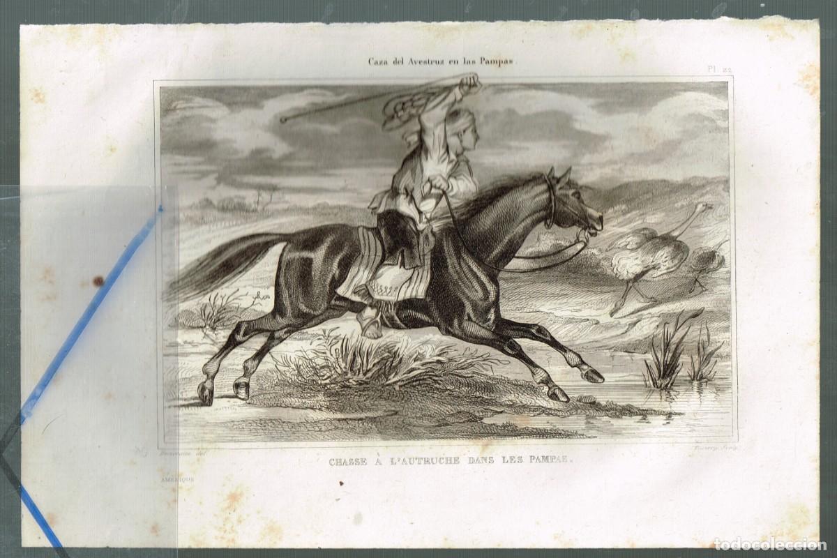 Art: antiguo grabado CAZA DEL AVEZTRUZ EN LAS PAMPAS CHASSE A L&acute;AUTRUCHE DANS LES PAMPAS