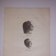 Arte: GRABADO ANTIGUO SIGLO XVIII VESPASIEN VESPASIANO ARSINOE EGIPTO [1798] TARDIEU SONNINI