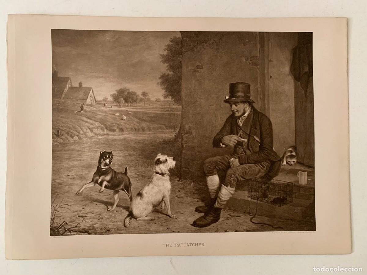 Arte: The Ratcatcher fotograbado de la obra de Thomas Woodward y editado por W. B. Jobson en 1899