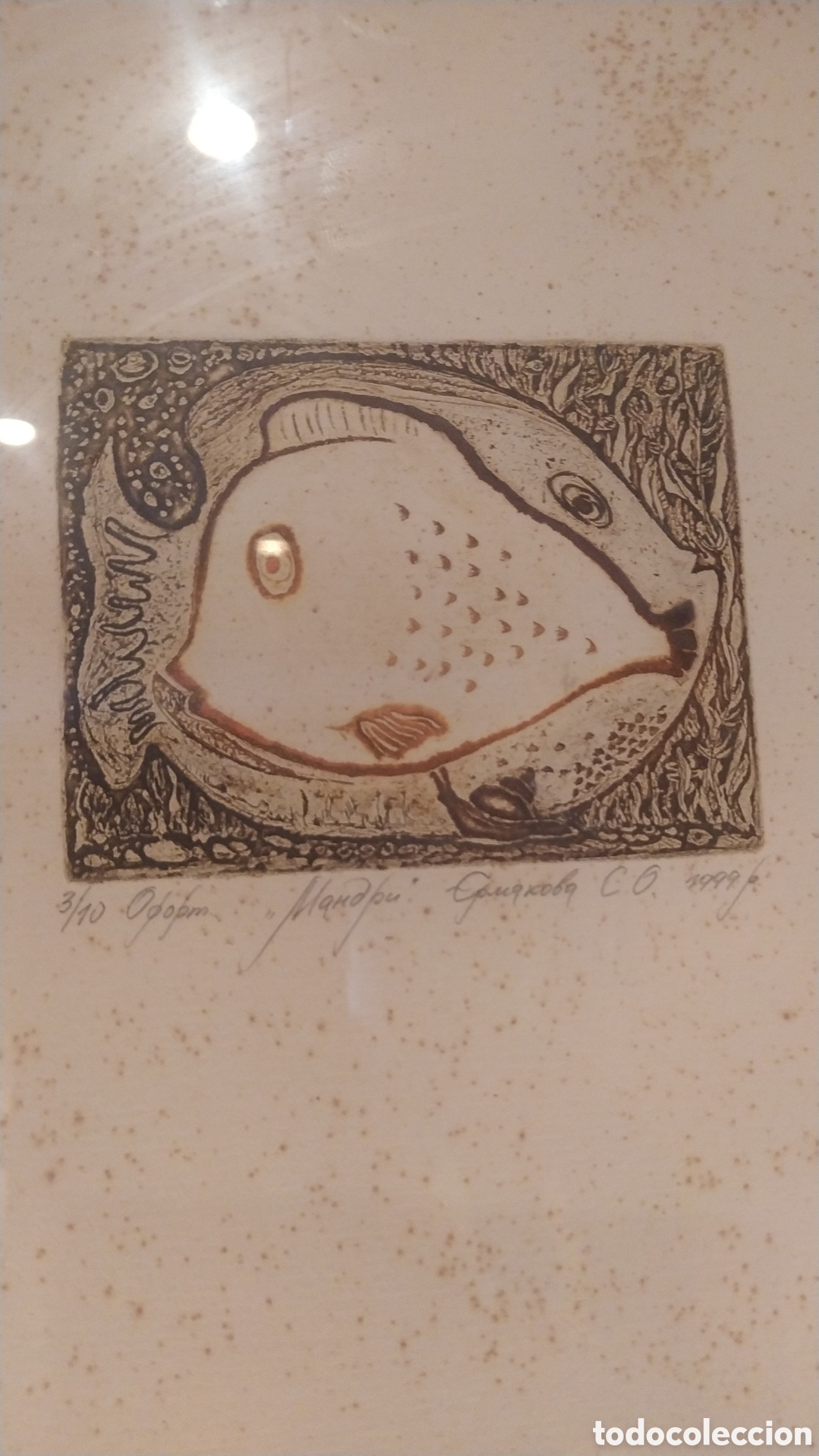 Arte: GRABADO DE PECES DE AUTOR SIN IDENTIFICAR - Foto 2