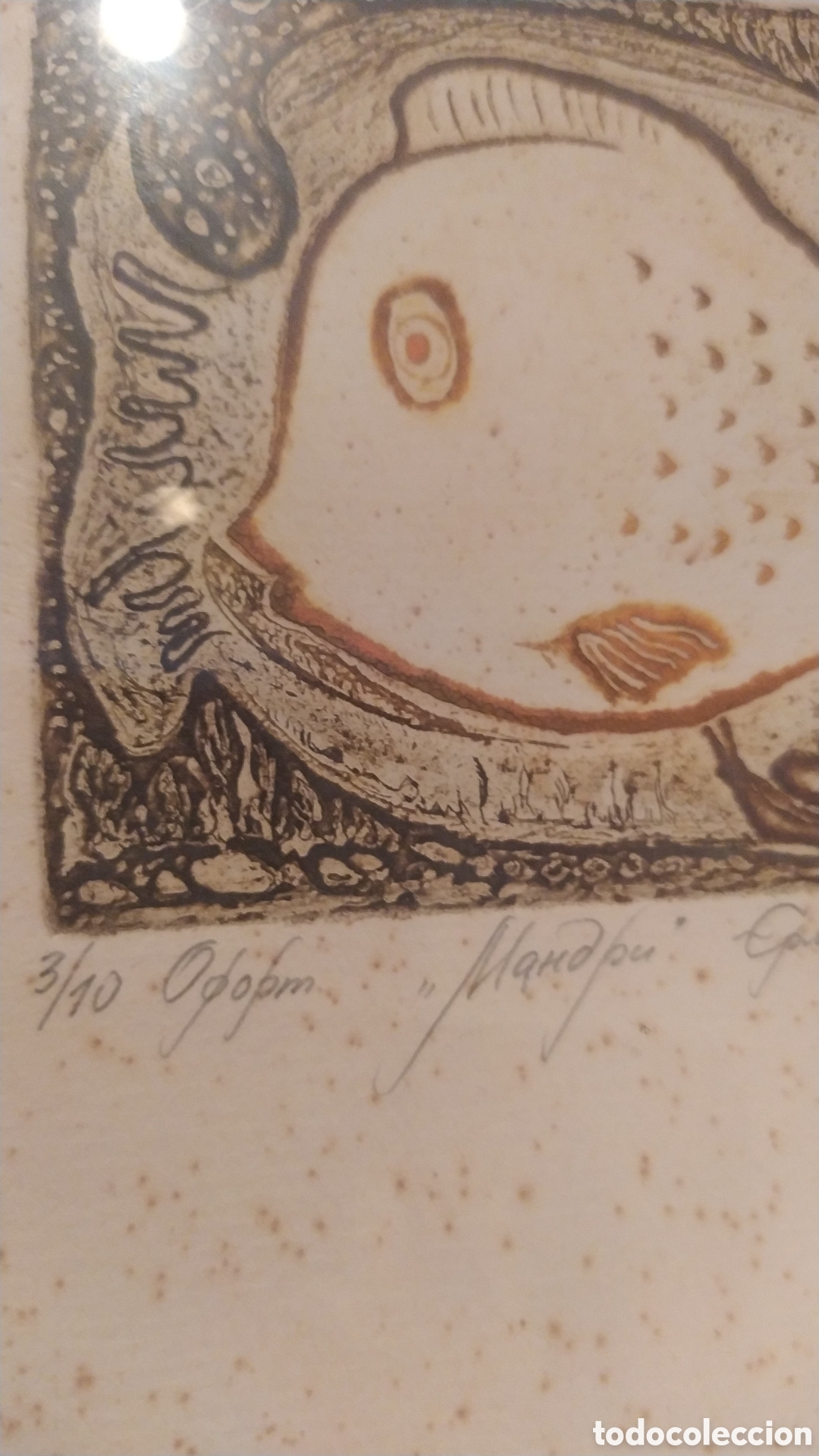 Arte: GRABADO DE PECES DE AUTOR SIN IDENTIFICAR - Foto 4