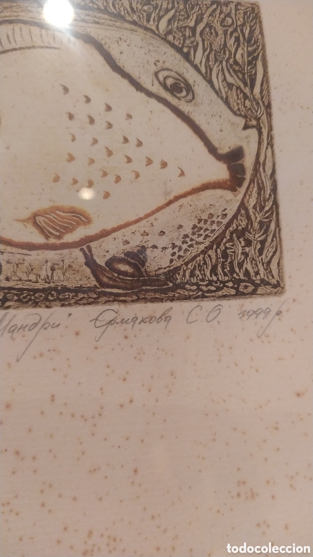 Arte: GRABADO DE PECES DE AUTOR SIN IDENTIFICAR - Foto 5