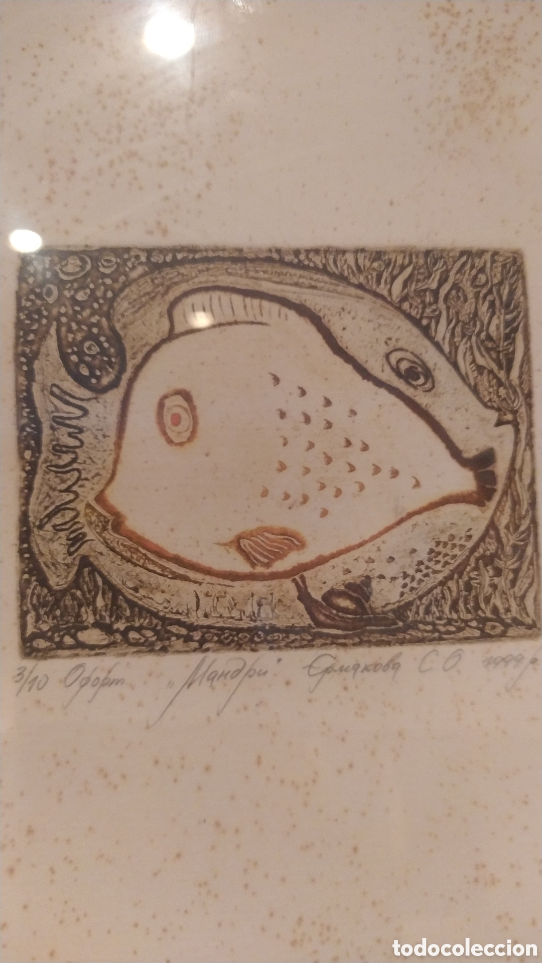 Arte: GRABADO DE PECES DE AUTOR SIN IDENTIFICAR - Foto 7
