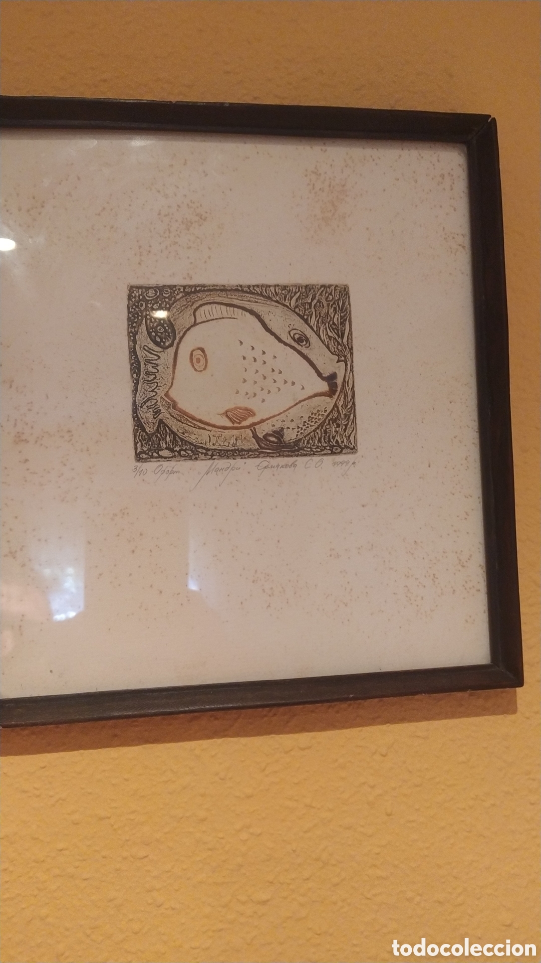 Arte: GRABADO DE PECES DE AUTOR SIN IDENTIFICAR - Foto 1