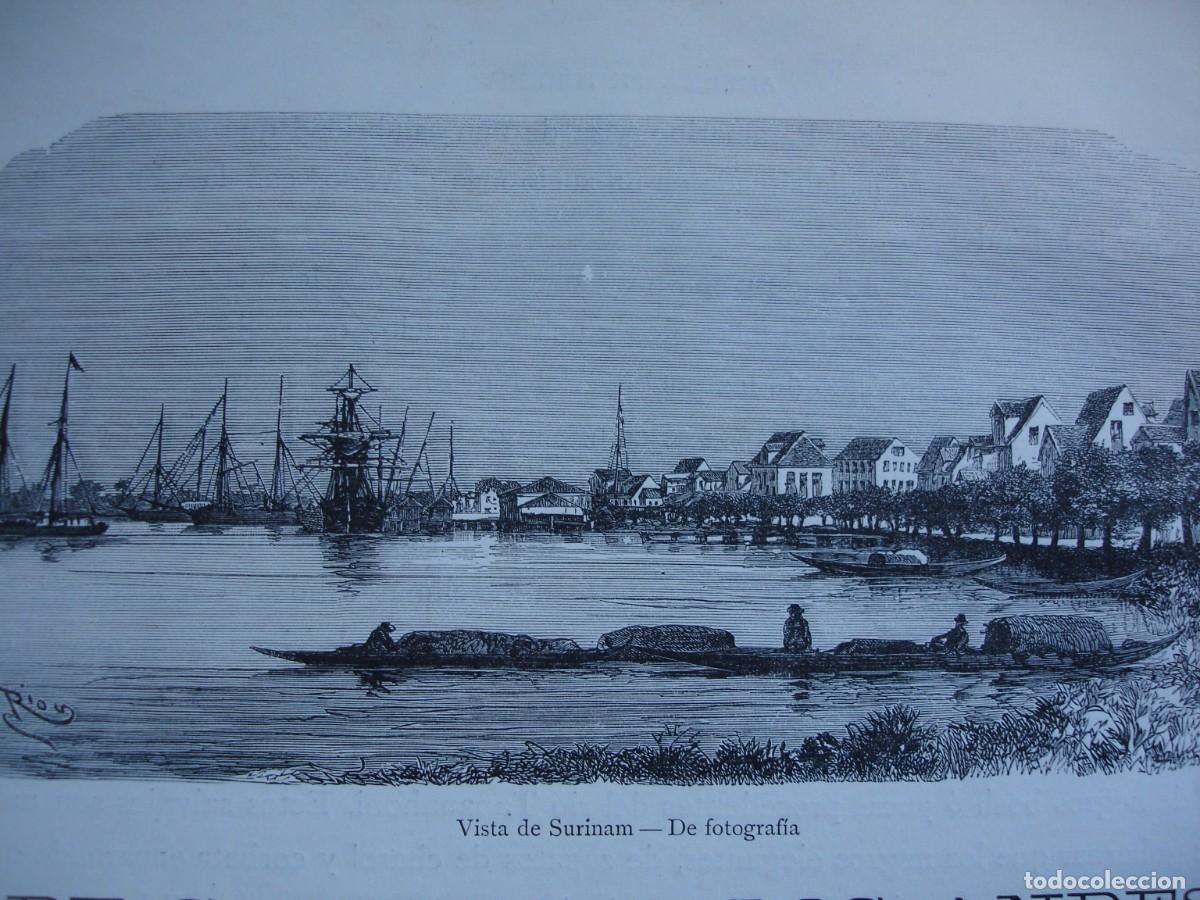 Art: VISTA DE SURINAM GUAYANA .A&Ntilde;O 1884.