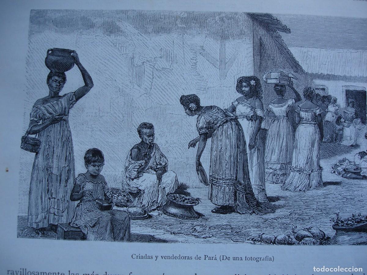 Art: CRIADAS Y VENDEDORAS DE PAR&Aacute; ECUADOR .A&Ntilde;O 1884.