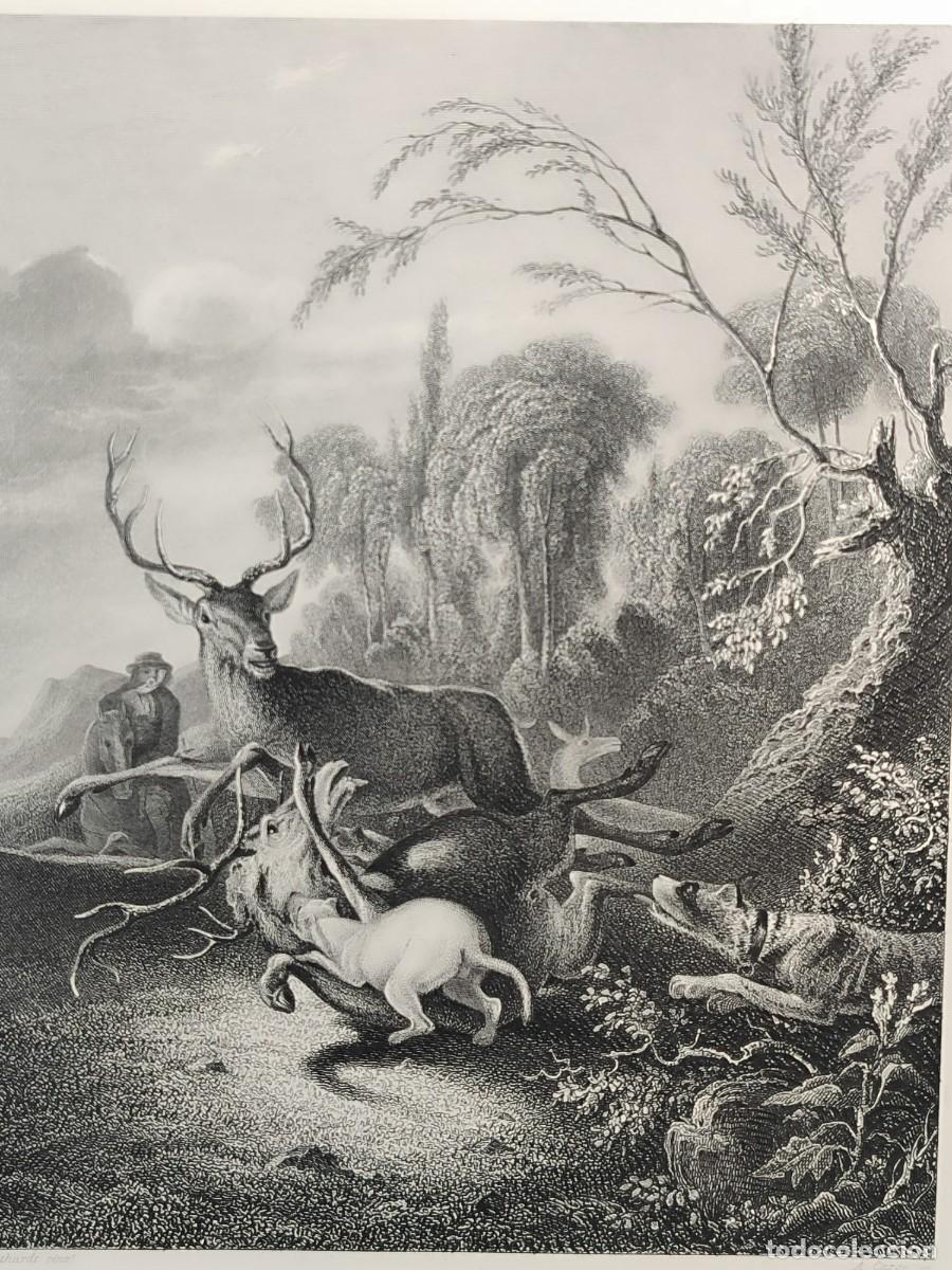 Arte: The stag hunt de Ruthardt . Royal Dresden Gallery Payne&acute;s 1850. caza