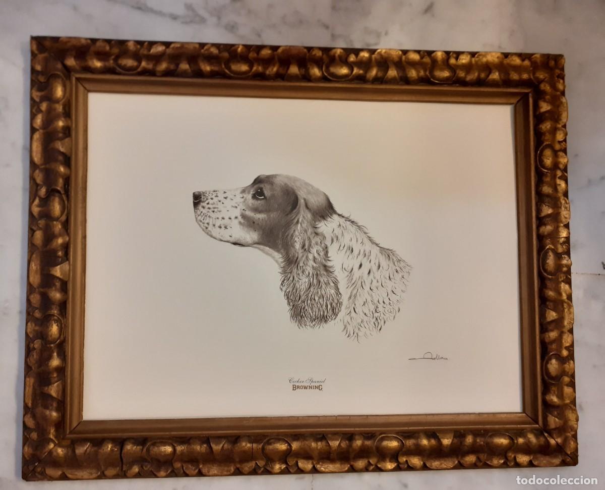 Arte: Grabado perro cocker spaniel - Foto 1