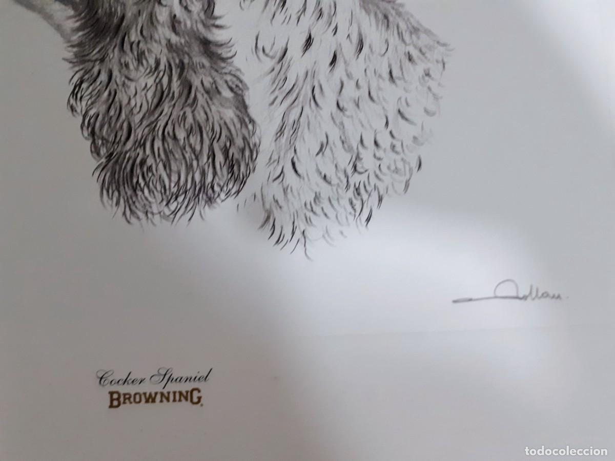 Arte: Grabado perro cocker spaniel - Foto 4