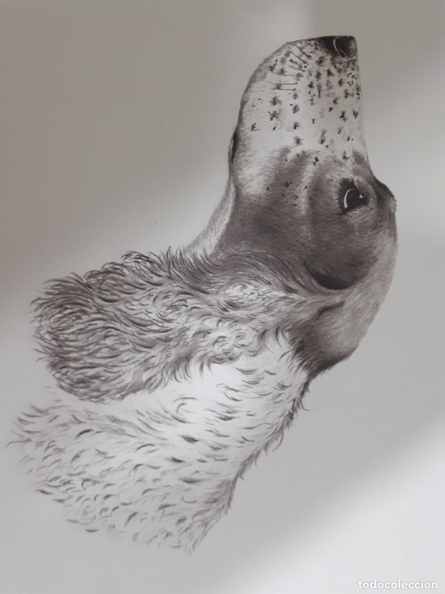 Arte: Grabado perro cocker spaniel - Foto 8