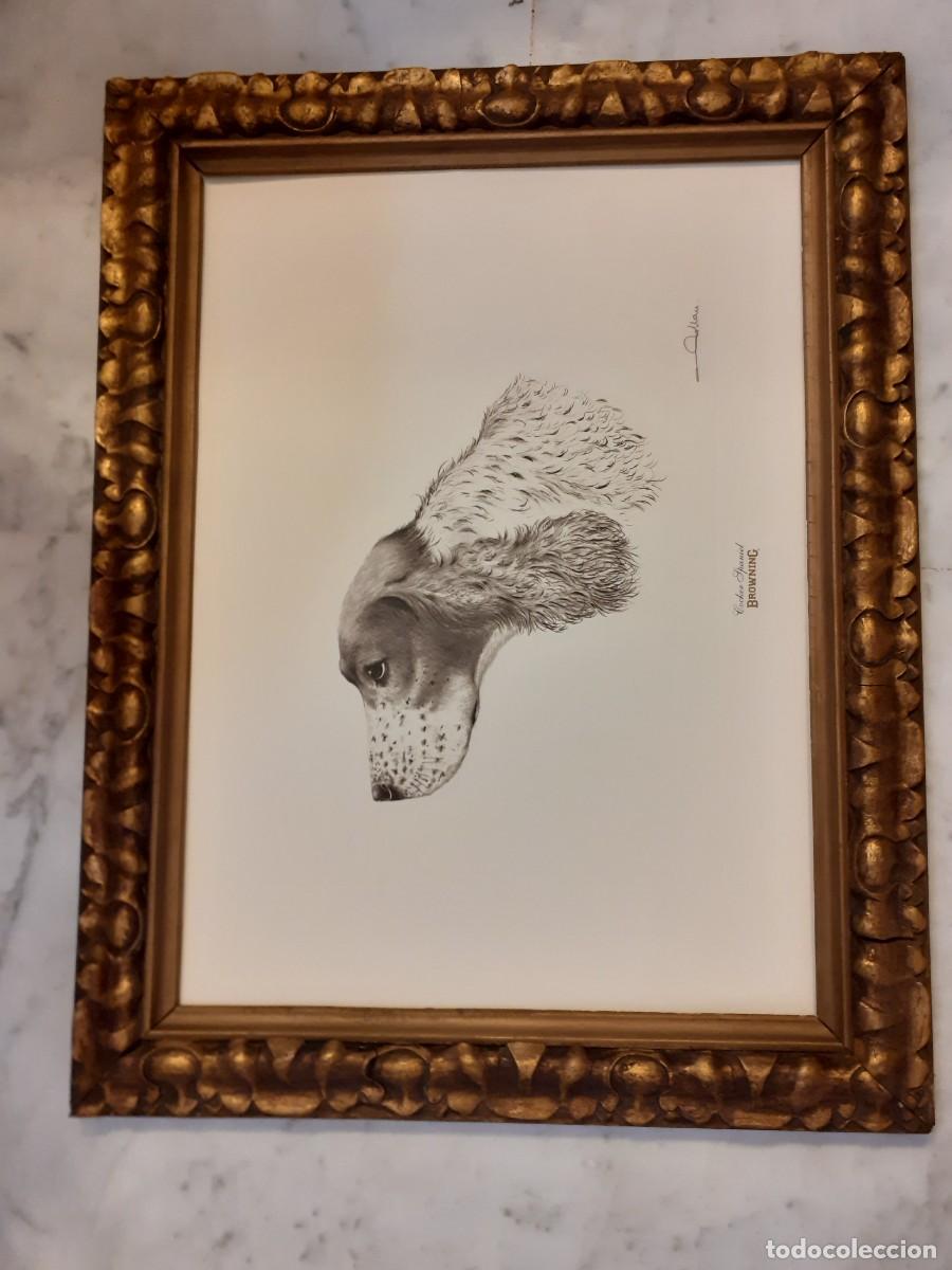 Arte: Grabado perro cocker spaniel - Foto 9