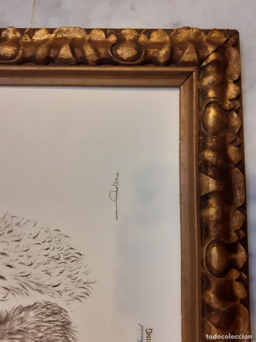 Arte: Grabado perro cocker spaniel - Foto 10