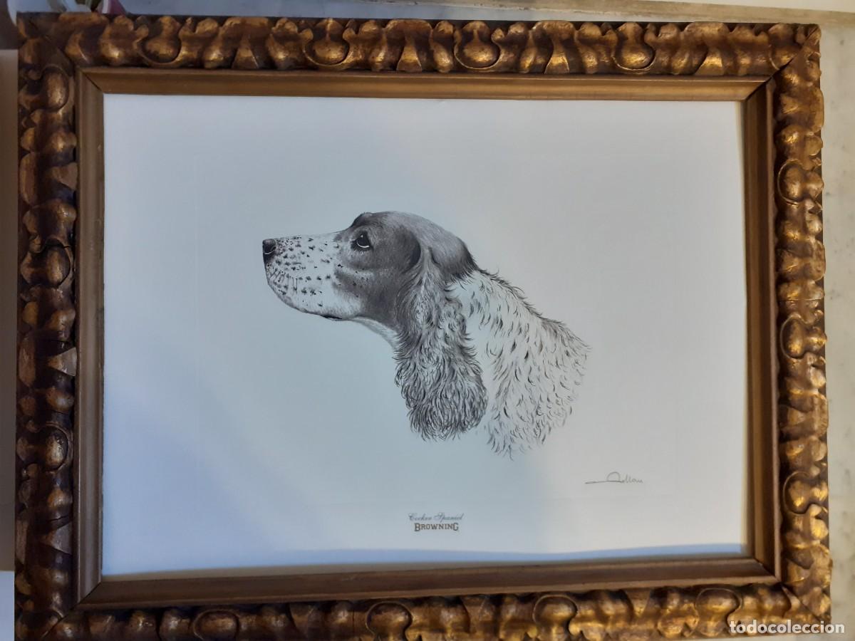 Arte: Grabado perro cocker spaniel - Foto 13