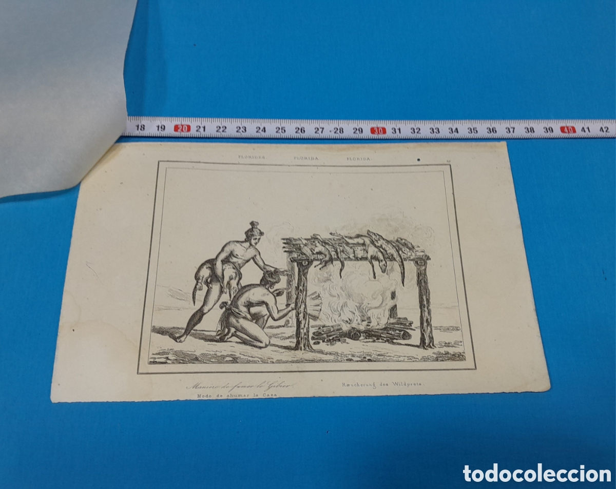 Art: MODO DE AHUMAR LA CAZA - FLORIDA - N&Uacute;MERO 15