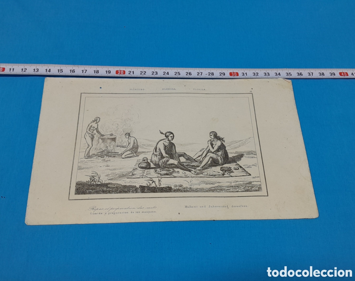 Art: COMIDA Y PREPARACI&Oacute;N DE LOS MANJARES - FLORIDA - N&Uacute;MERO 16
