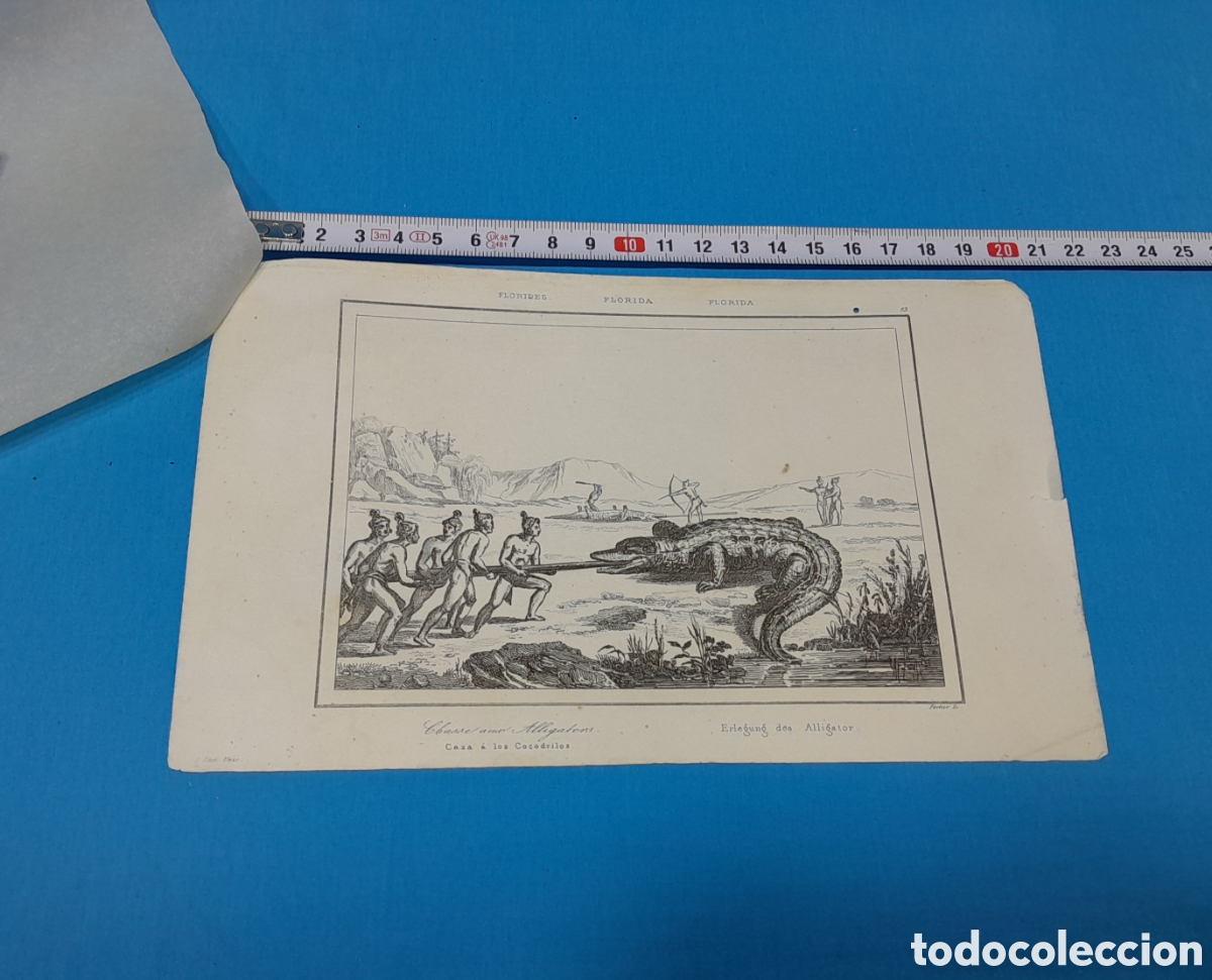 Art: CAZA A LOS COCODRILOS - FERTIER SC, EE. UU. N&Uacute;MERO 13