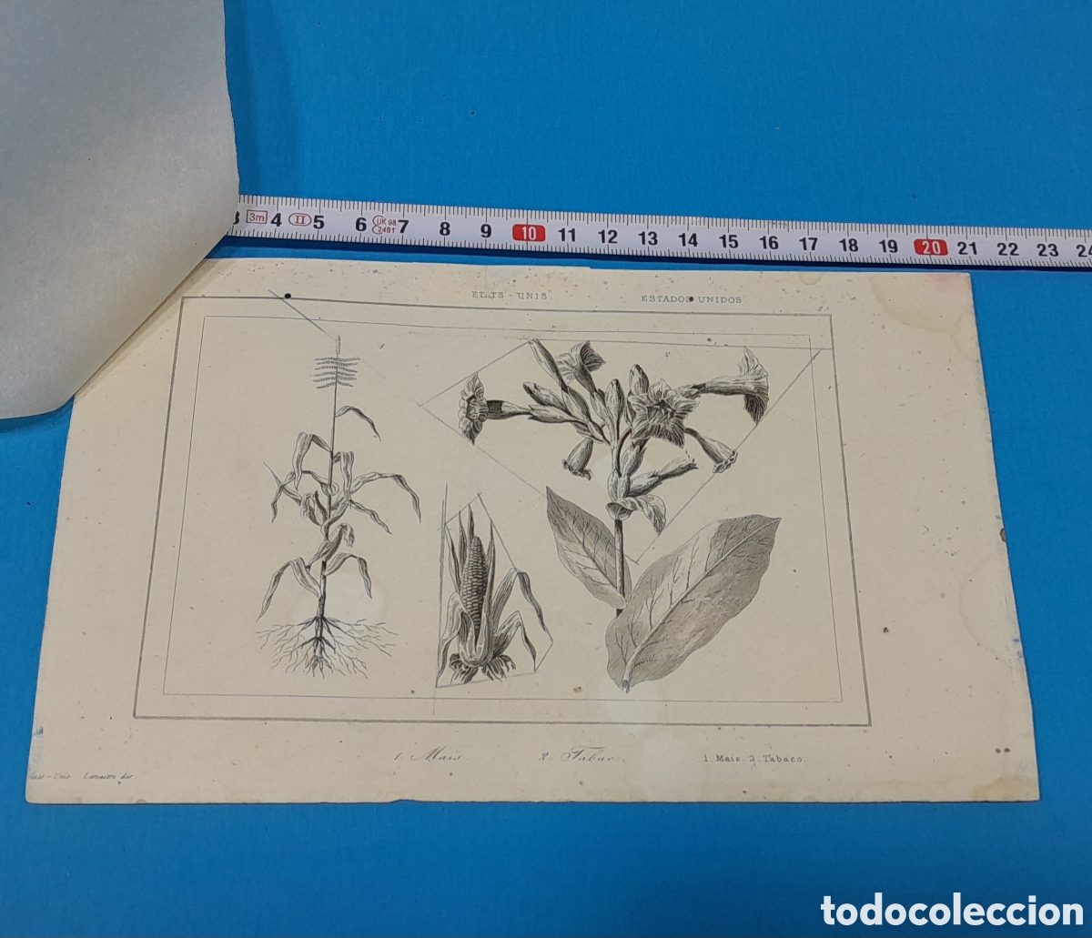 Arte: 1 MA&Iacute;Z - 2 TABACO, LEMAITRE DIR., EE. UU. N&Uacute;MERO 25 - Foto 1