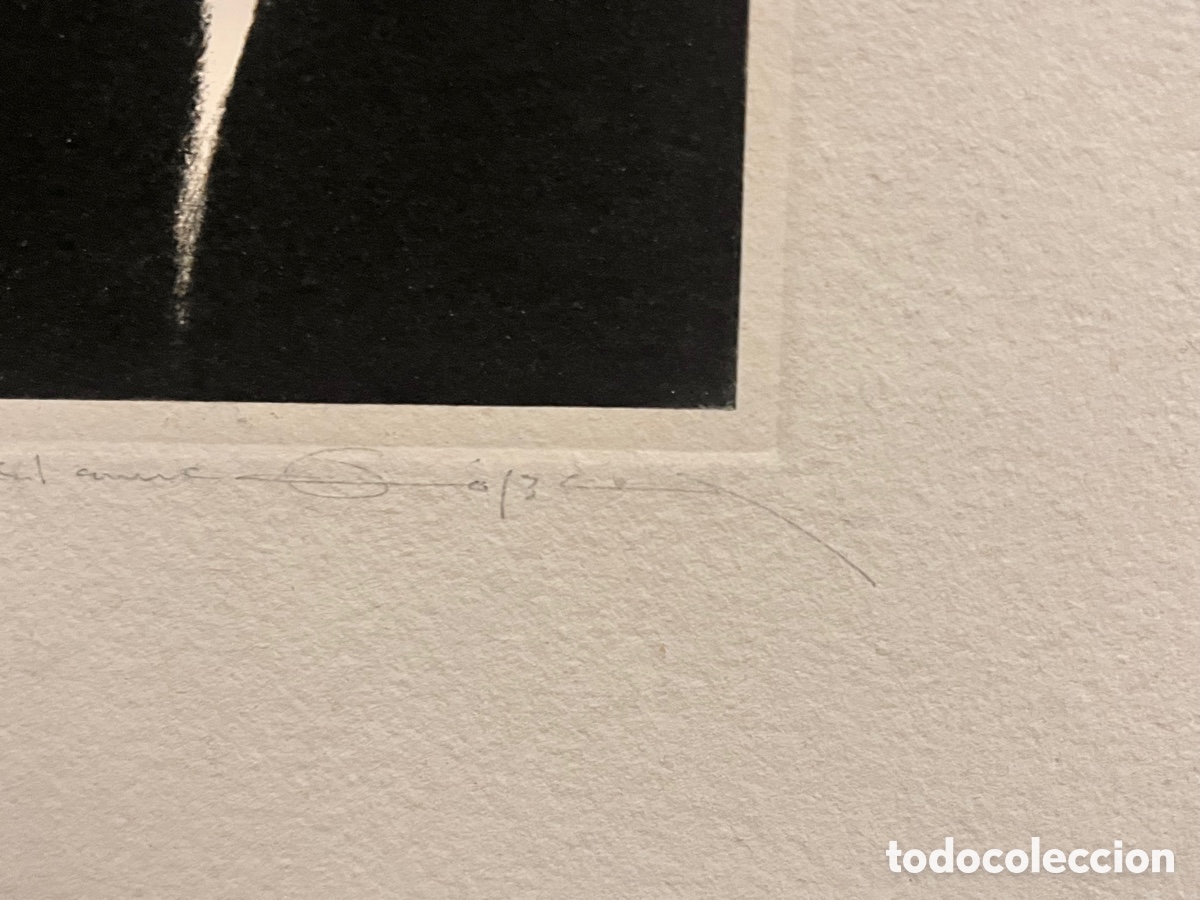 Arte: Fernando Z&oacute;bel. Melainos III - Foto 3