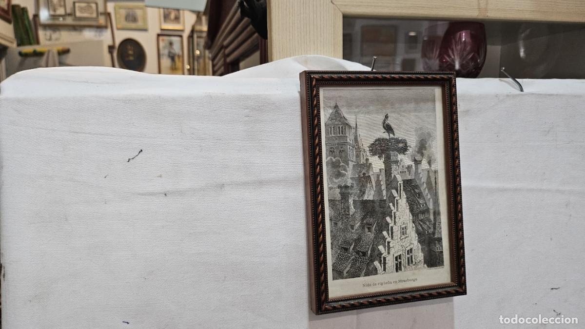 Arte: grabado antiguo del 1823 selva negra - Foto 1