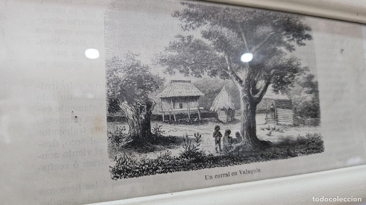 Arte: grabado antiguo del 1823 selva negra - Foto 3