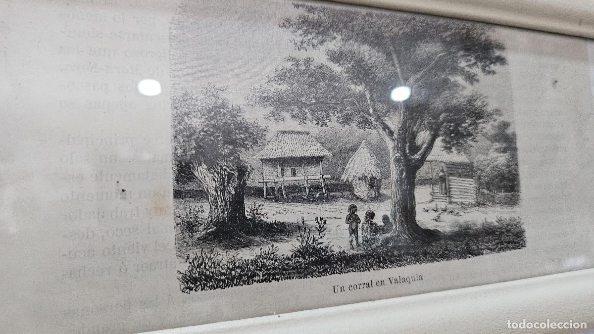 Arte: grabado antiguo del 1823 selva negra - Foto 4
